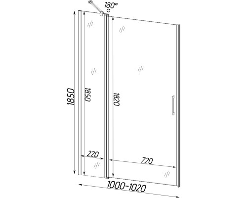 Душові двері PASLENKA 100TC (100T) BRAVO (1уп.)
