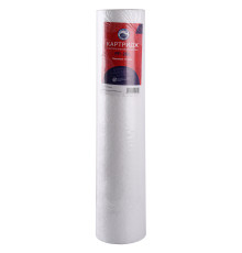 Картридж поліпропіленовий Bio+ systems PP-20L (10 мкм) BigBlue 20″