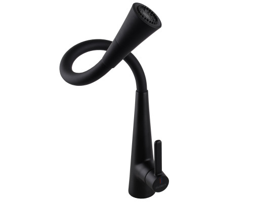 Змішувач для кухні Globus Lux LAZER Pro GLPR-203SM-BB